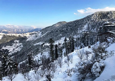 Kufri Shimla