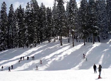 annadale himachal